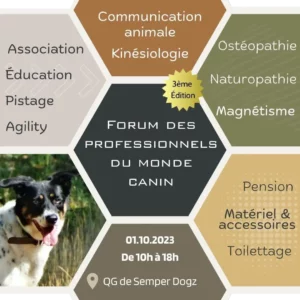 Lire la suite à propos de l’article Forum des professionnels du monde canin le 01 octobre 2023