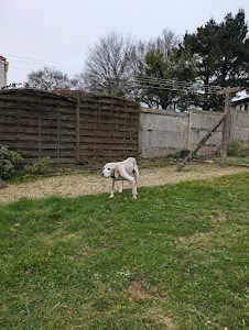 Anim'holidays place picture