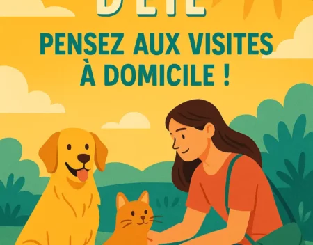 Réservations d’été – Anticipez dès maintenant !