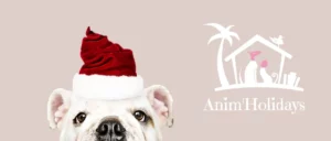 Lire la suite à propos de l’article Vacances de Noël 2025, Pensez à la garde de votre animal de compagnie
