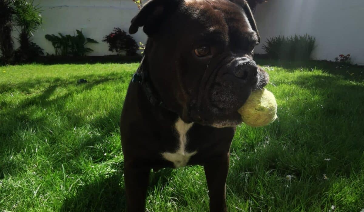 réservations garde pour les ponts de mai .
