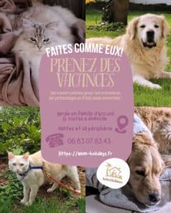 Super vacances avec Anim Holidays . Garde idéale pour les animaux