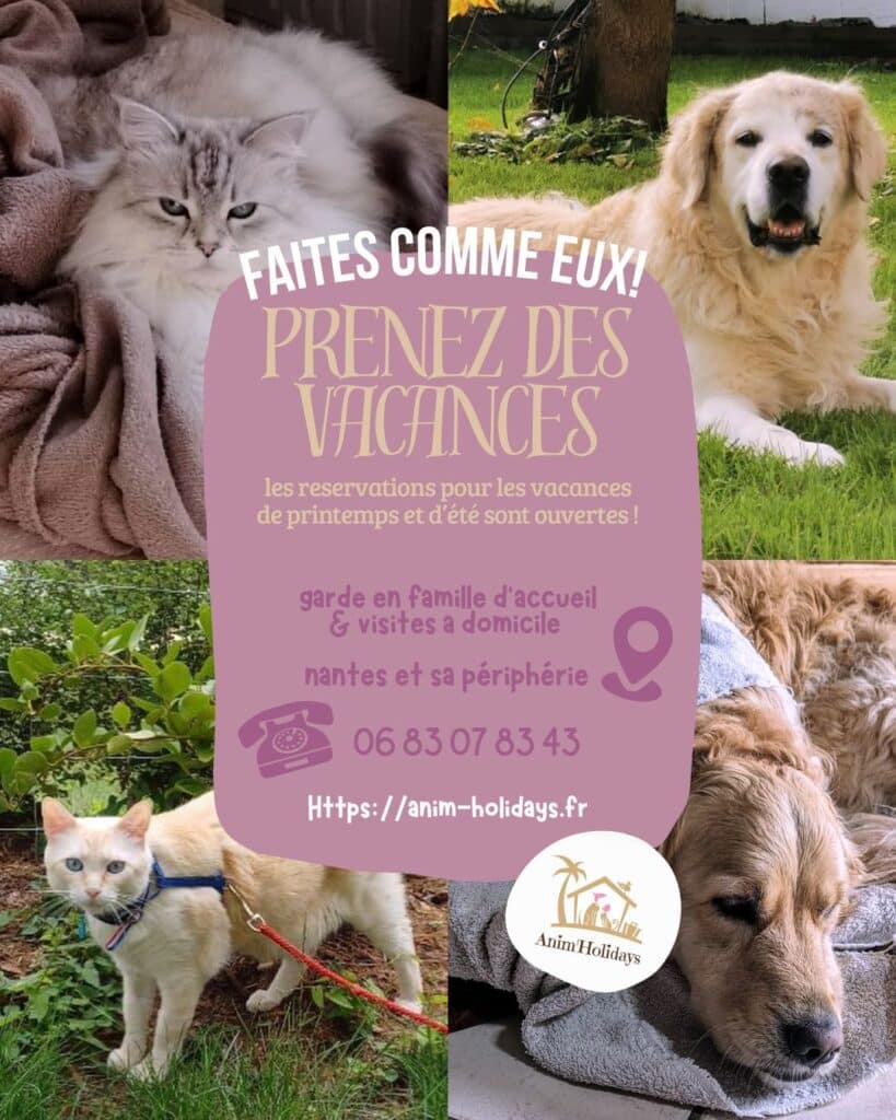 Super vacances avec Anim Holidays . Garde idéale pour les animaux