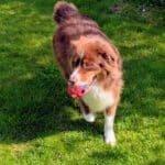 Mes vacances avec Anim&rsquo;Holiday