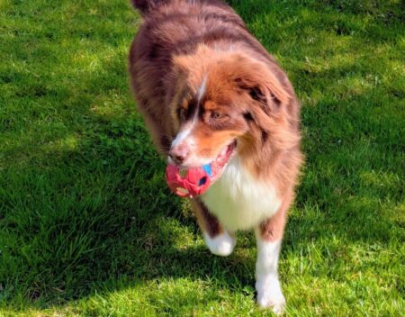 Mes vacances avec Anim&rsquo;Holiday